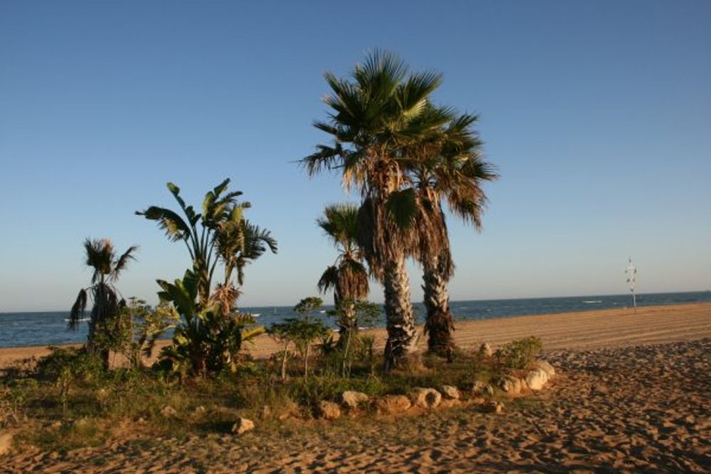 chipiona 2008