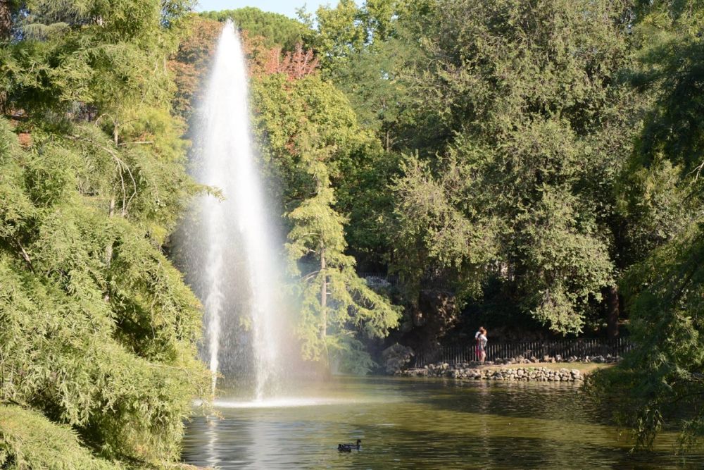 Parque del Retiro (Madrid) 18-08-2017