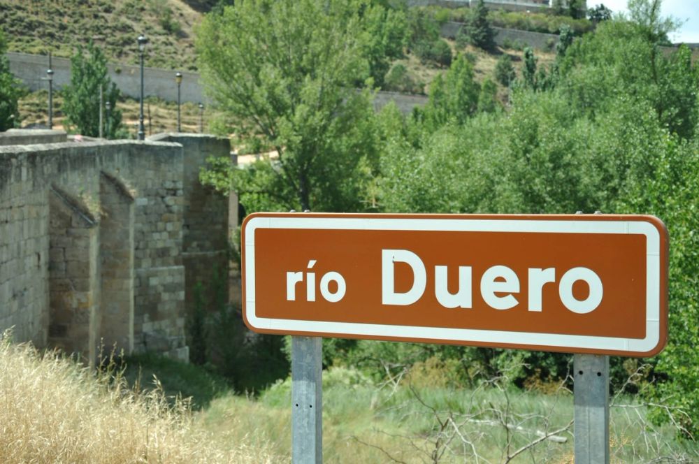 Roa del duero 2014