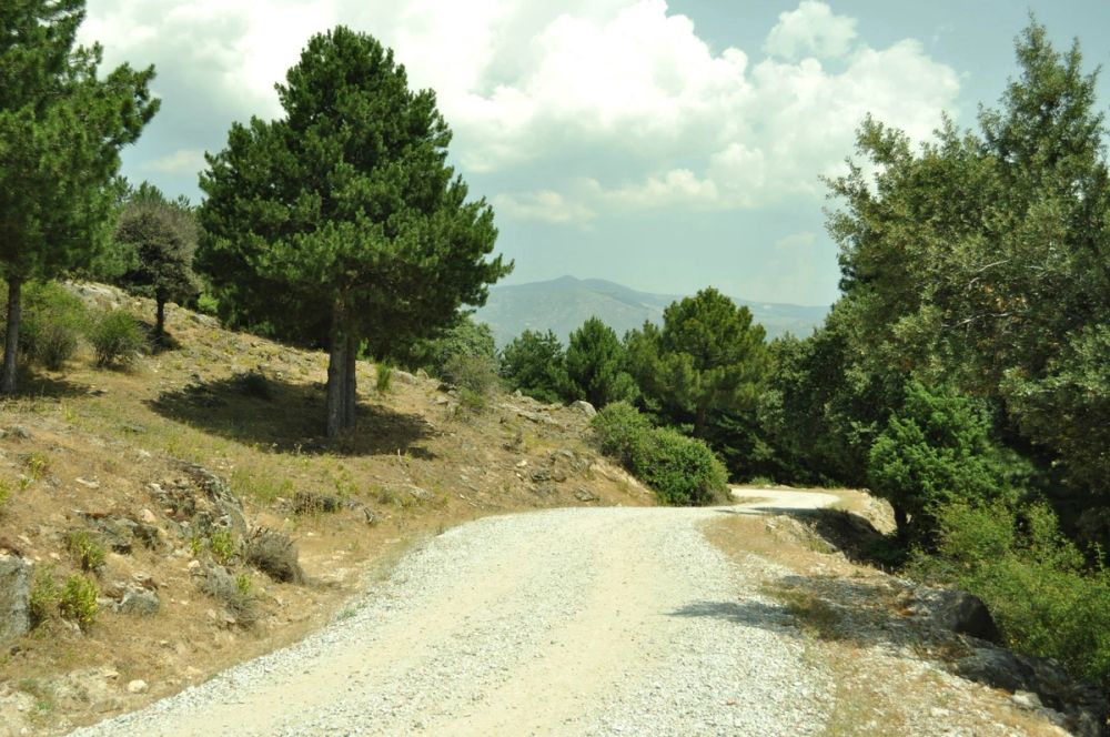 Berrecil de la sierra 10-07-2013