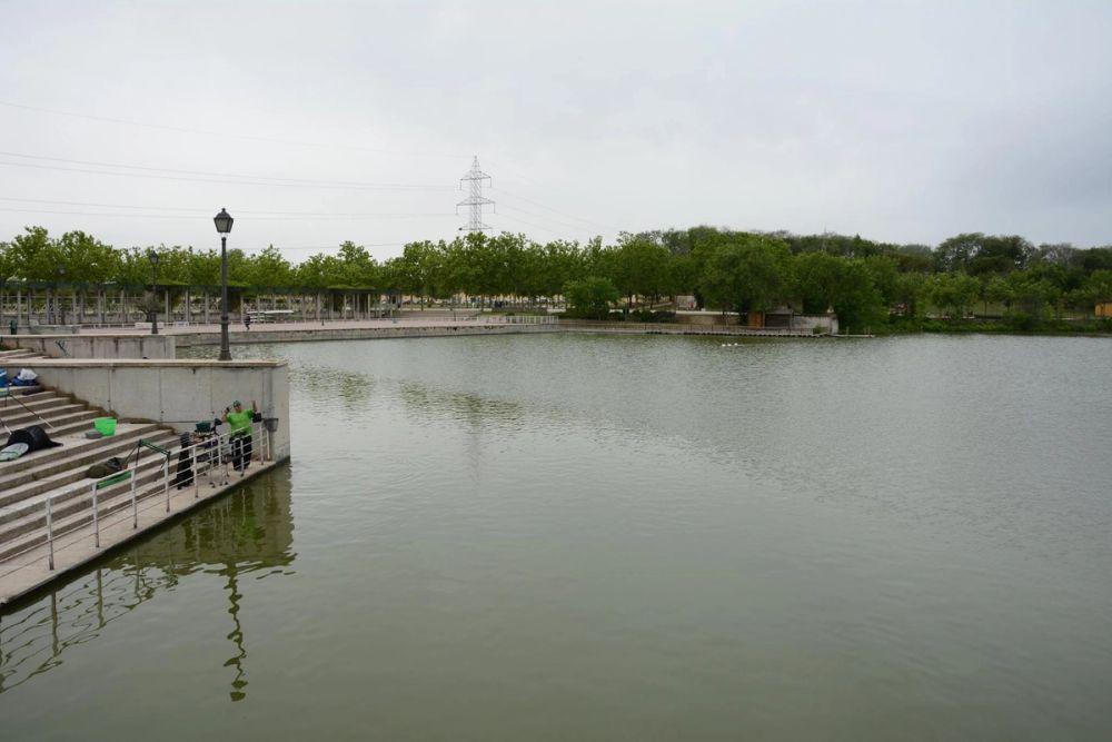 Parque polvoranca (Leganes) 10-06-2019