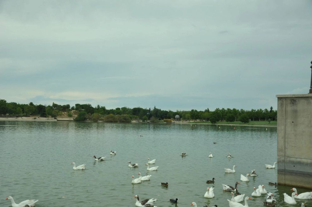 parque Polvoranca (Leganes) 30-08-2014
