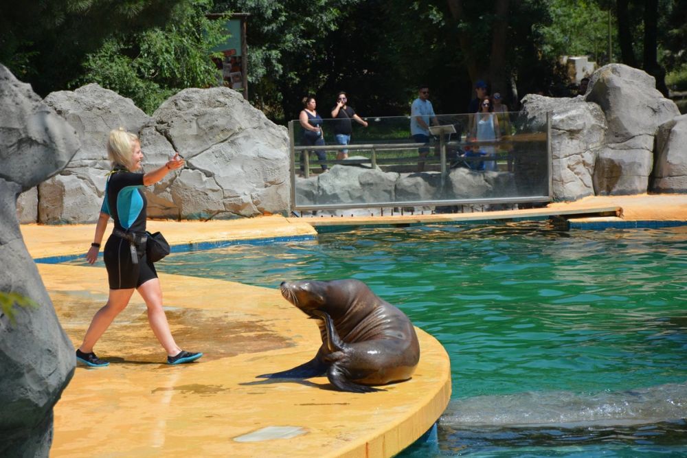 zoo 07-07-2018