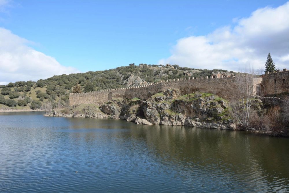 Buitrazo de Lozoya 04-03-2017