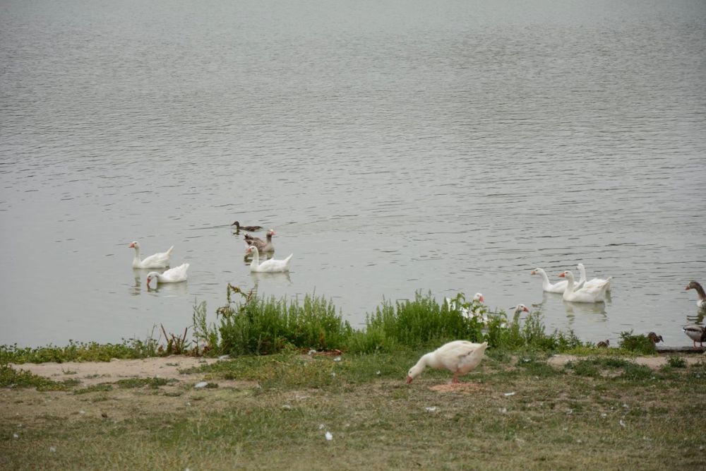 Parque polvoranca (Leganes) 10-06-2019