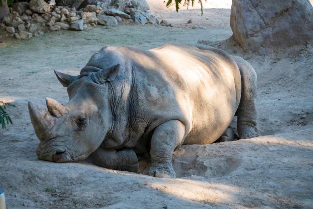 Zoo 17-08-2024