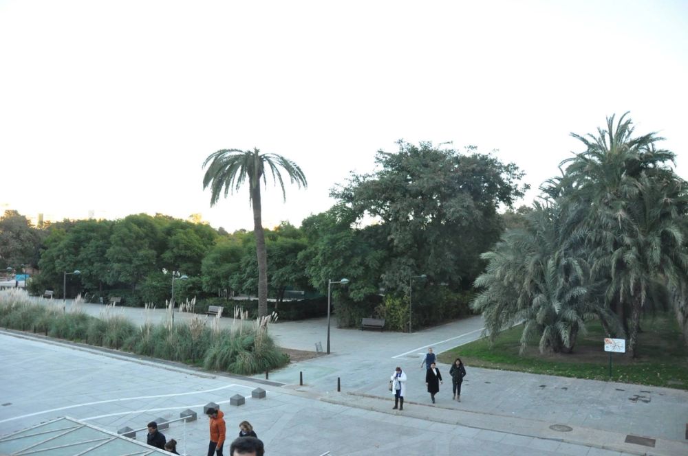 Valencia 16-12-2014