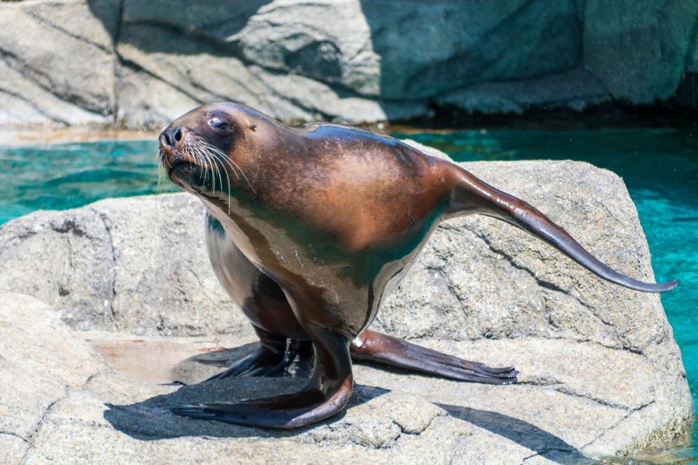 Zoo 17-08-2024