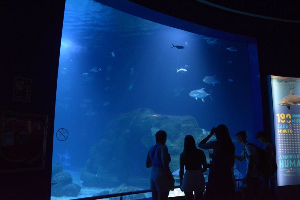 Oceanografic 2022