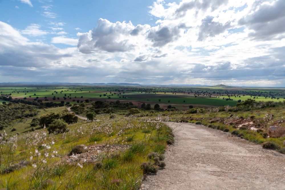 Sierra de Corral de Almaguer 03-05-2025