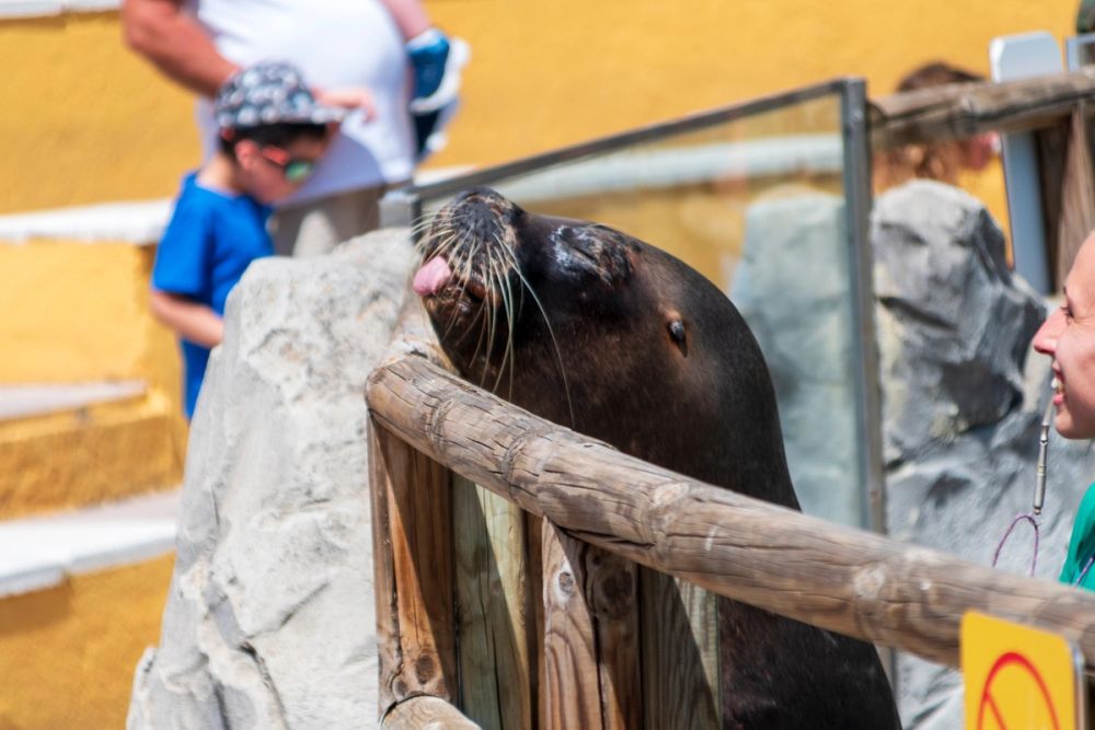 Zoo 17-08-2024