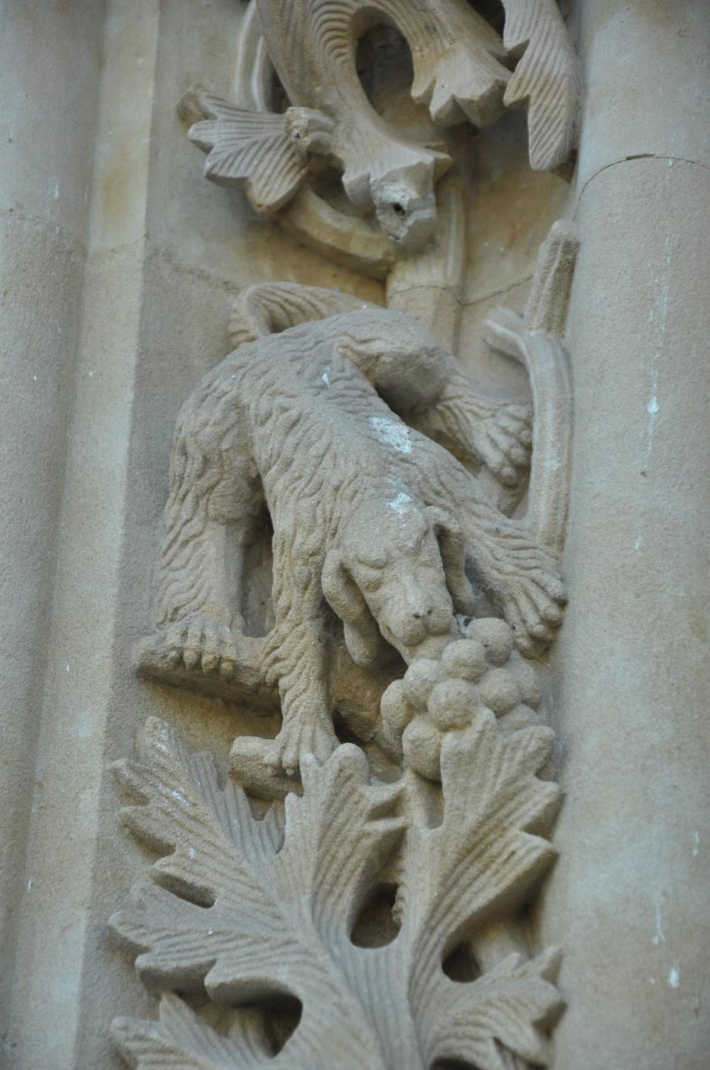 Salamanca 18-08-2015