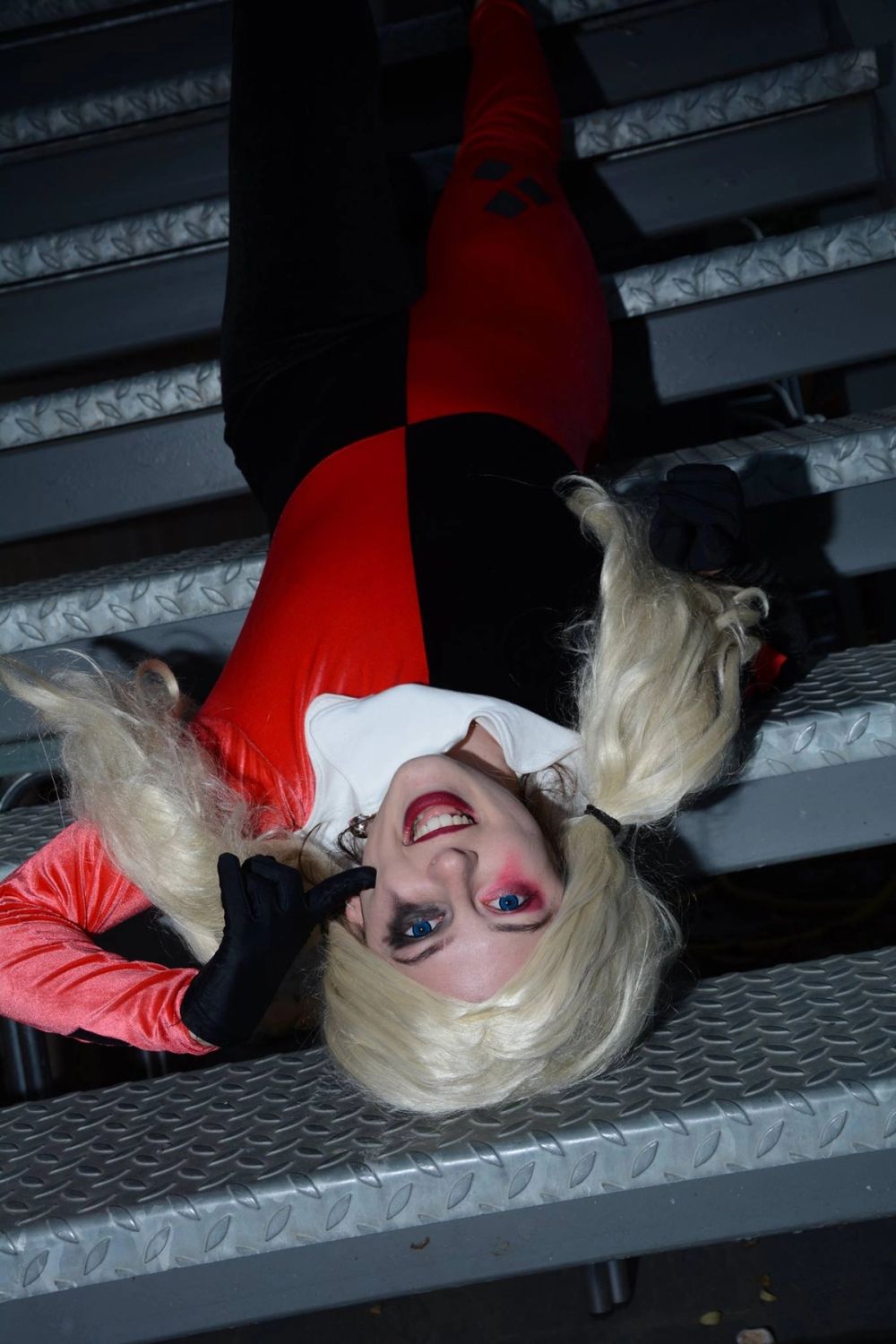 harley quinn 24-02-2019