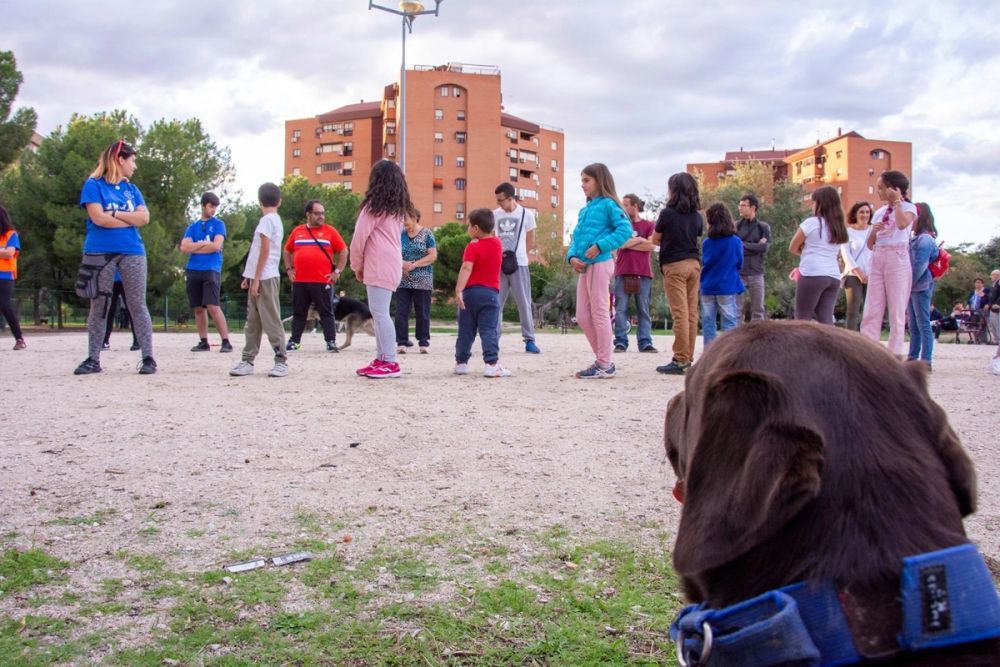 Formacion de perro policia 22-09-2019
