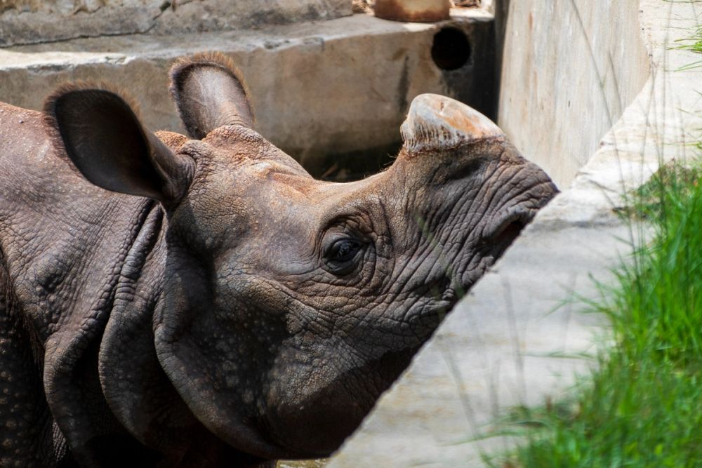 Zoo 17-08-2024