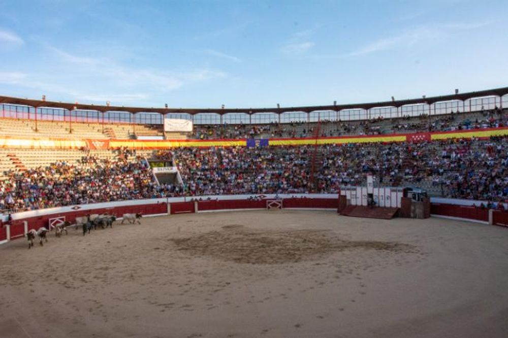 Toros en Colmenar Viejo 22-08-2019