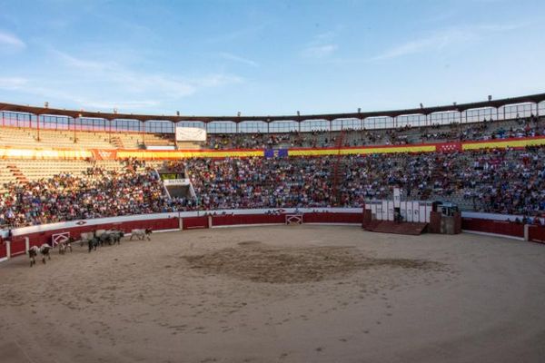 Toros en Colmenar Viejo 22-08-2019