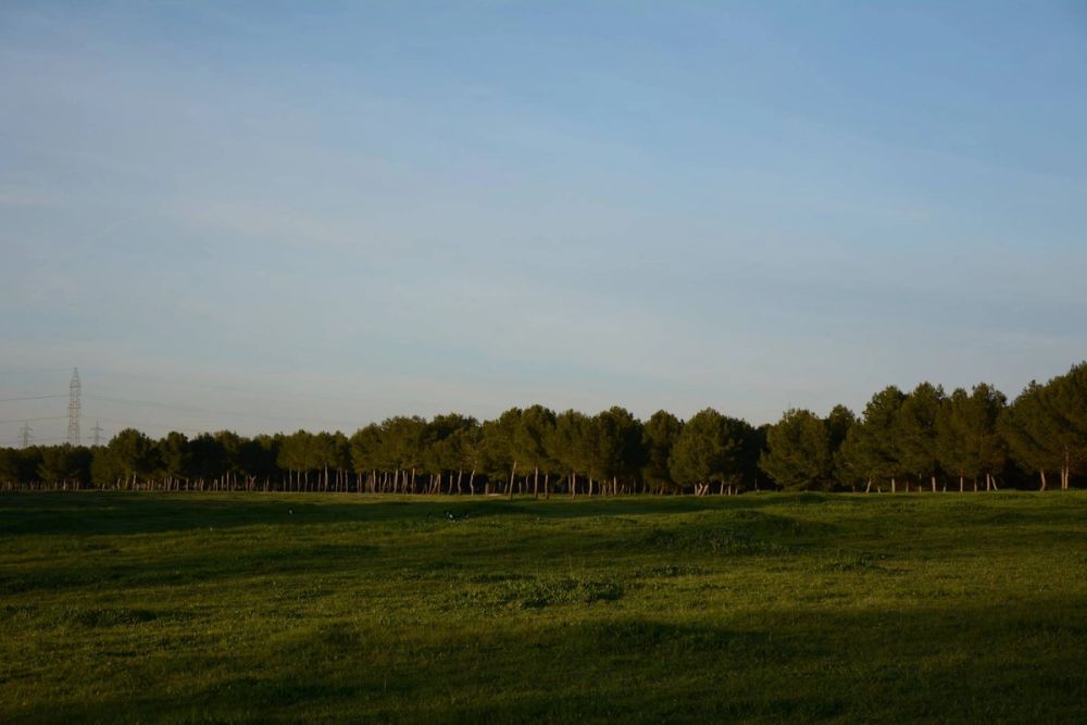 Parque Polvoranca (Leganes) 18-03-2017