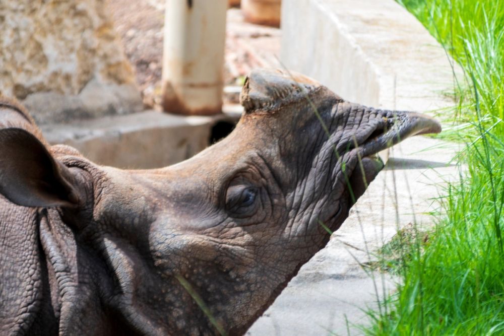 Zoo 17-08-2024