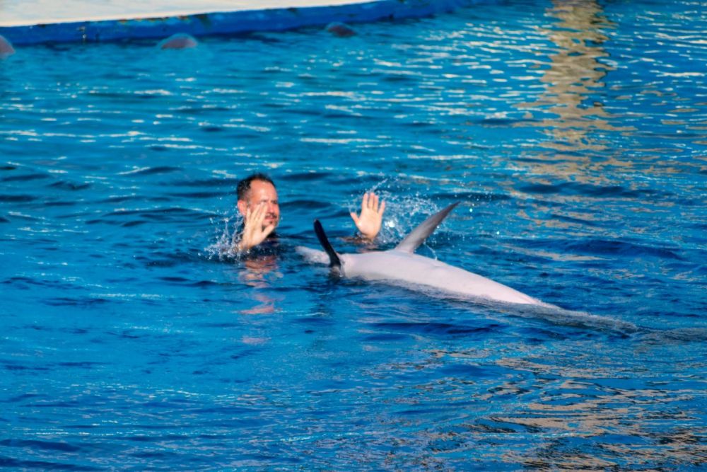Zoo 17-08-2024