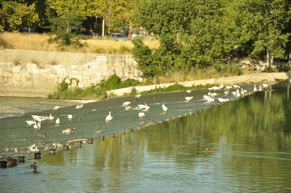 Aranjuez 2016