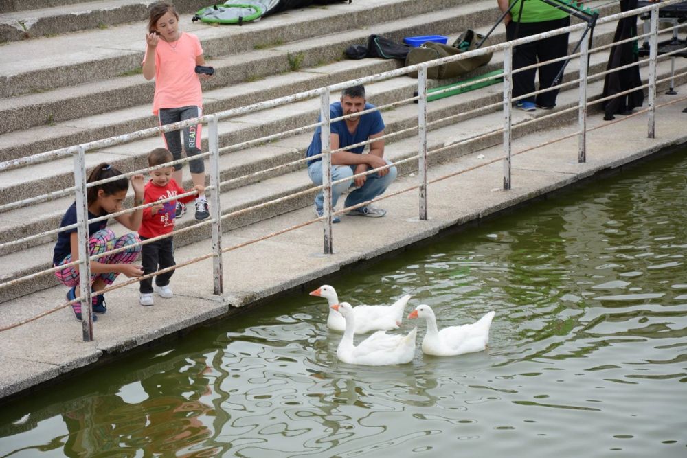 Parque polvoranca (Leganes) 10-06-2019