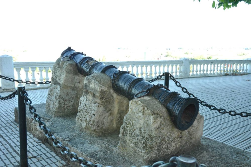 Roa del duero 2014