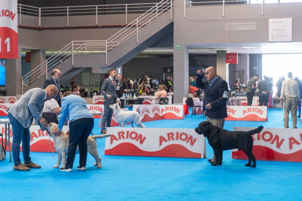 Exposicion canina (ciudad real) 01-06-2024