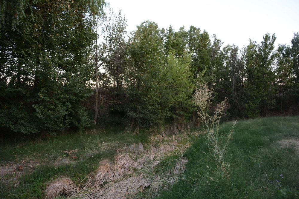 Parque Polvoranca (Leganes) 20-08-2017