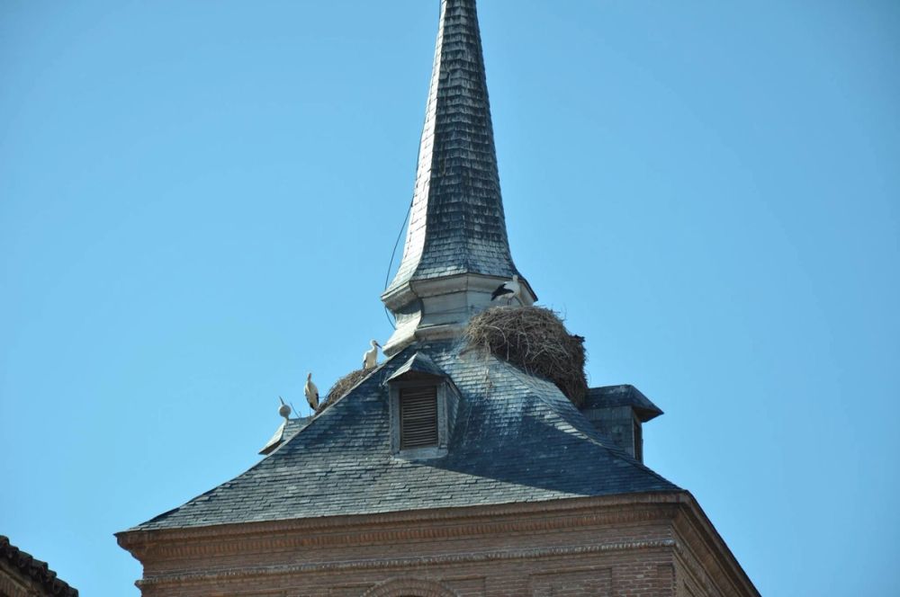 Alcala De Henares 24-01-2016