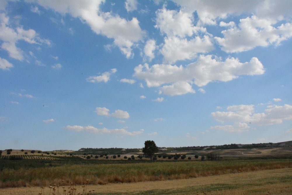 Cuevas del valle de Lillo 2020