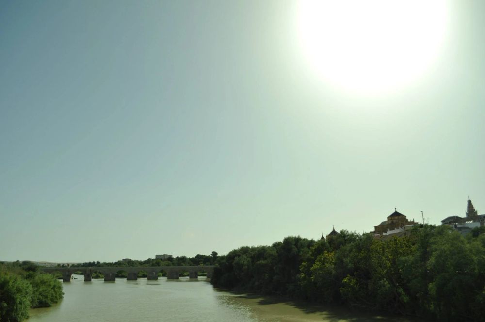 Cordoba 2013