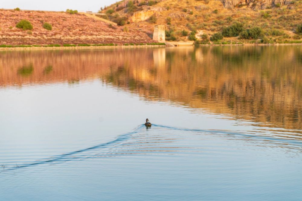 Embalse de Finisterre 16-08-2025
