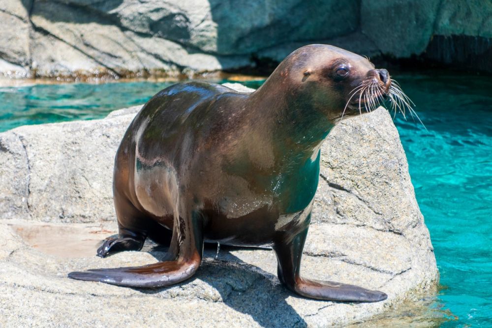 Zoo 17-08-2024