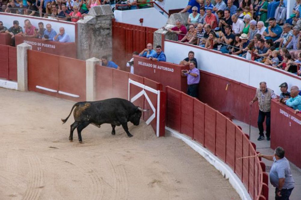 Toros en Colmenar Viejo 22-08-2019