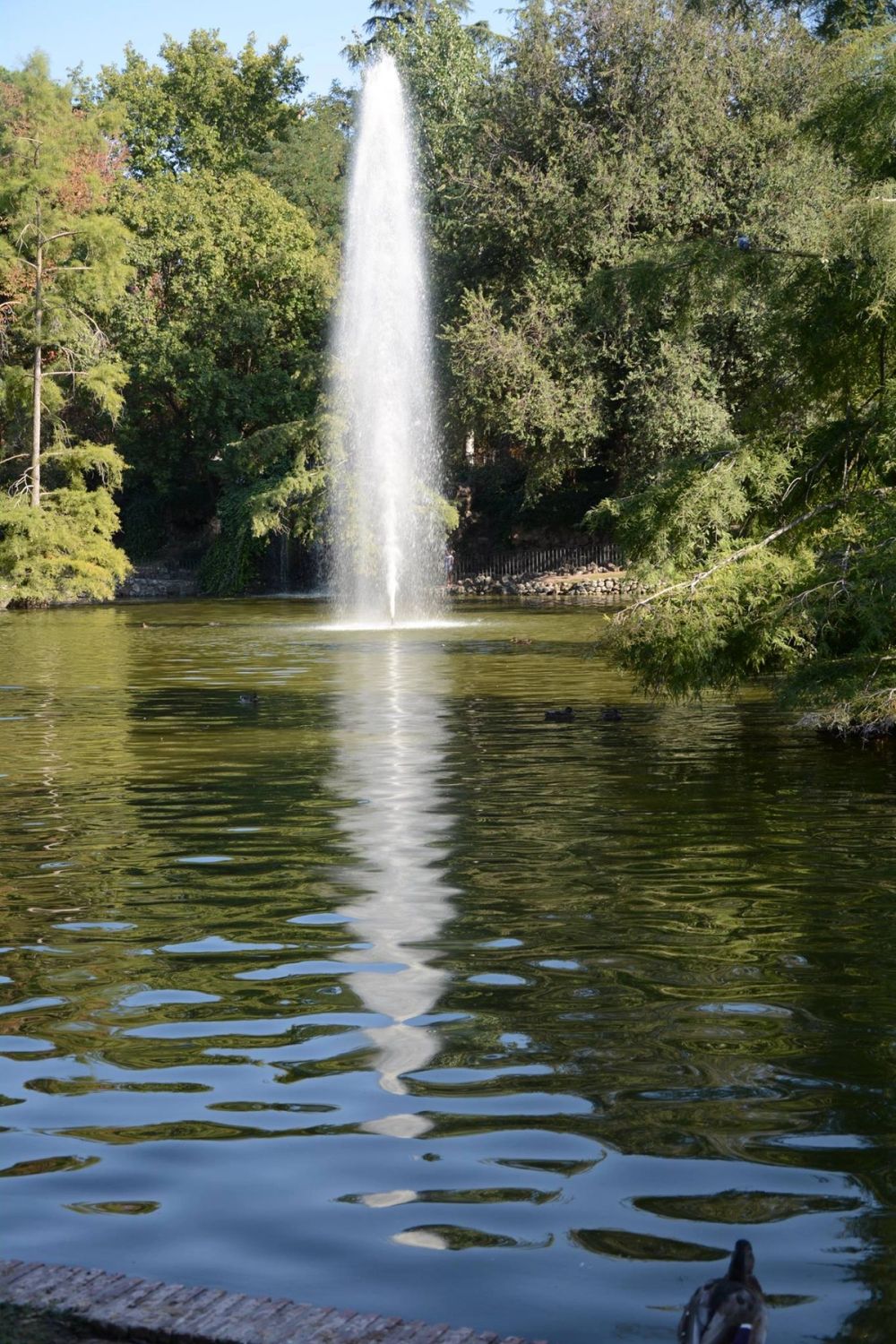Parque del Retiro (Madrid) 18-08-2017