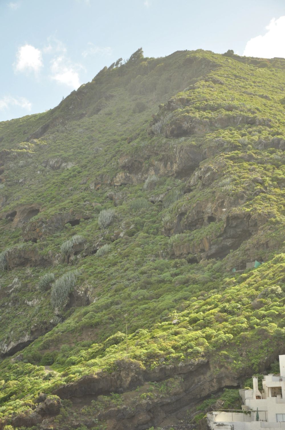Tenerife 2015