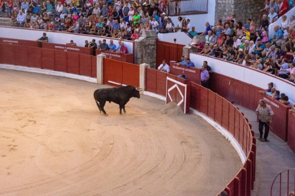 Toros en Colmenar Viejo 22-08-2019