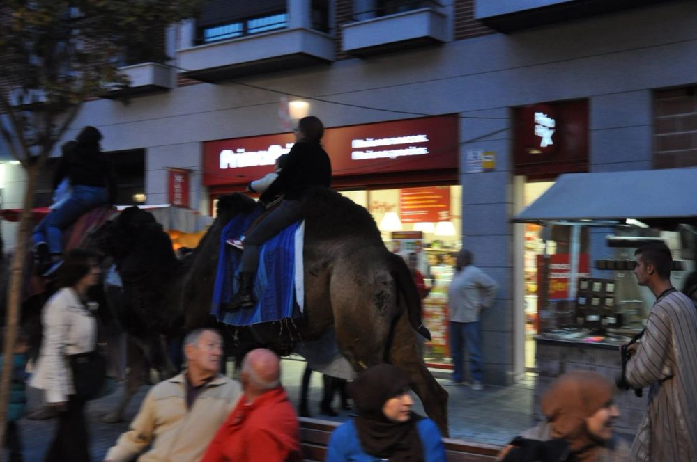 Feria Mediaval (Leganes) 2016
