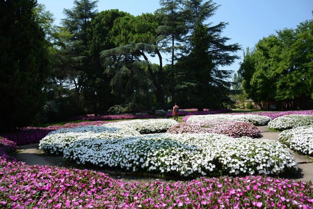 Parque de El capricho (Madrid) 2018