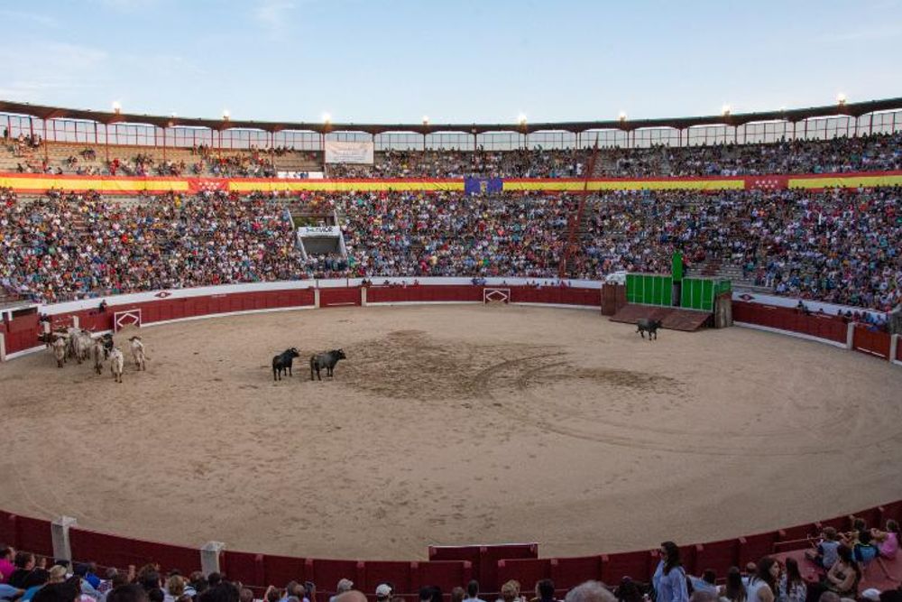 Toros en Colmenar Viejo 22-08-2019