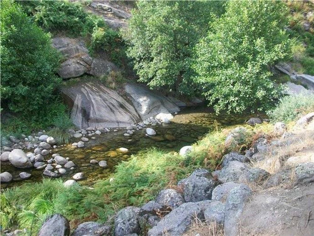 Fuentes naturales Sierra de madrid 2011