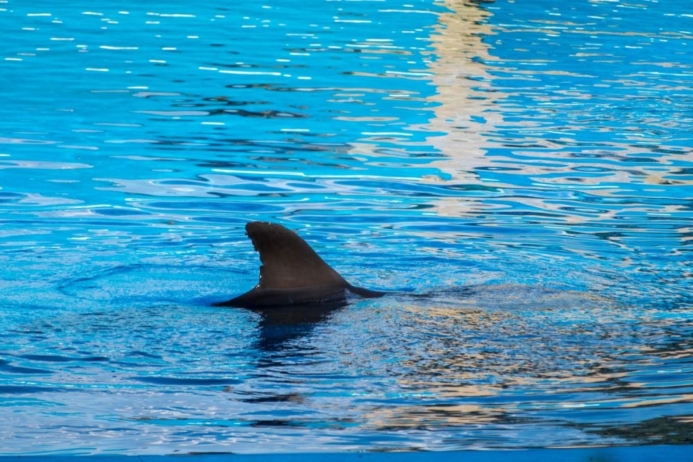 Zoo 17-08-2024