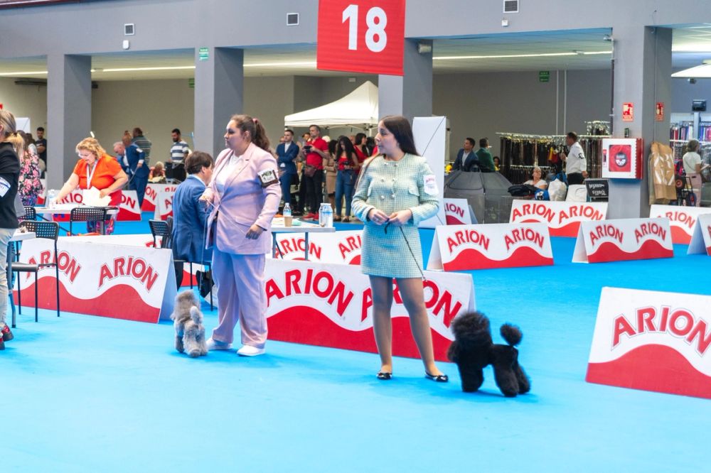 Exposicion canina (ciudad real) 01-06-2024