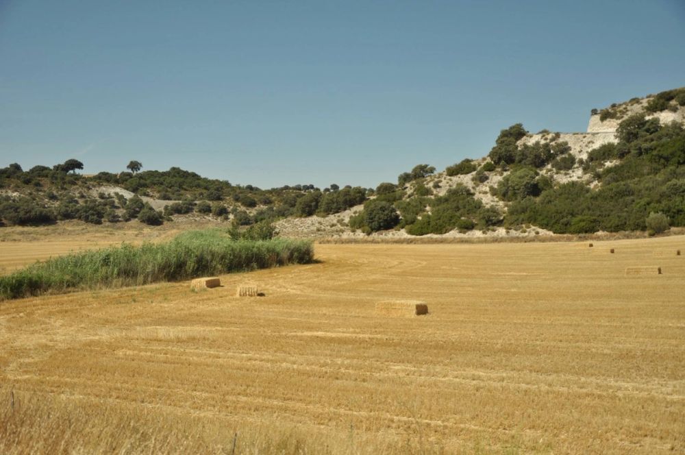 Valle de Lillo 2017