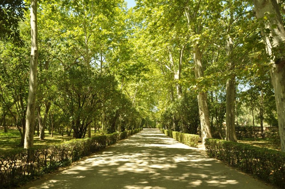 Aranjuez 2016