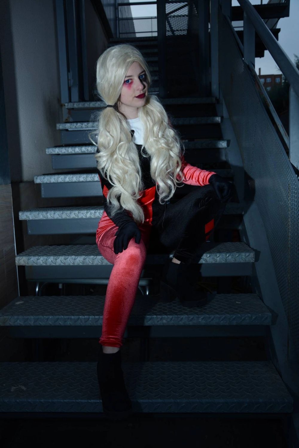 harley quinn 24-02-2019