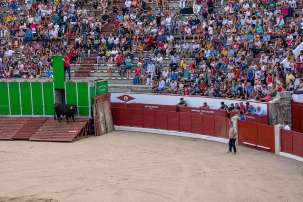 Toros en Colmenar Viejo 22-08-2019