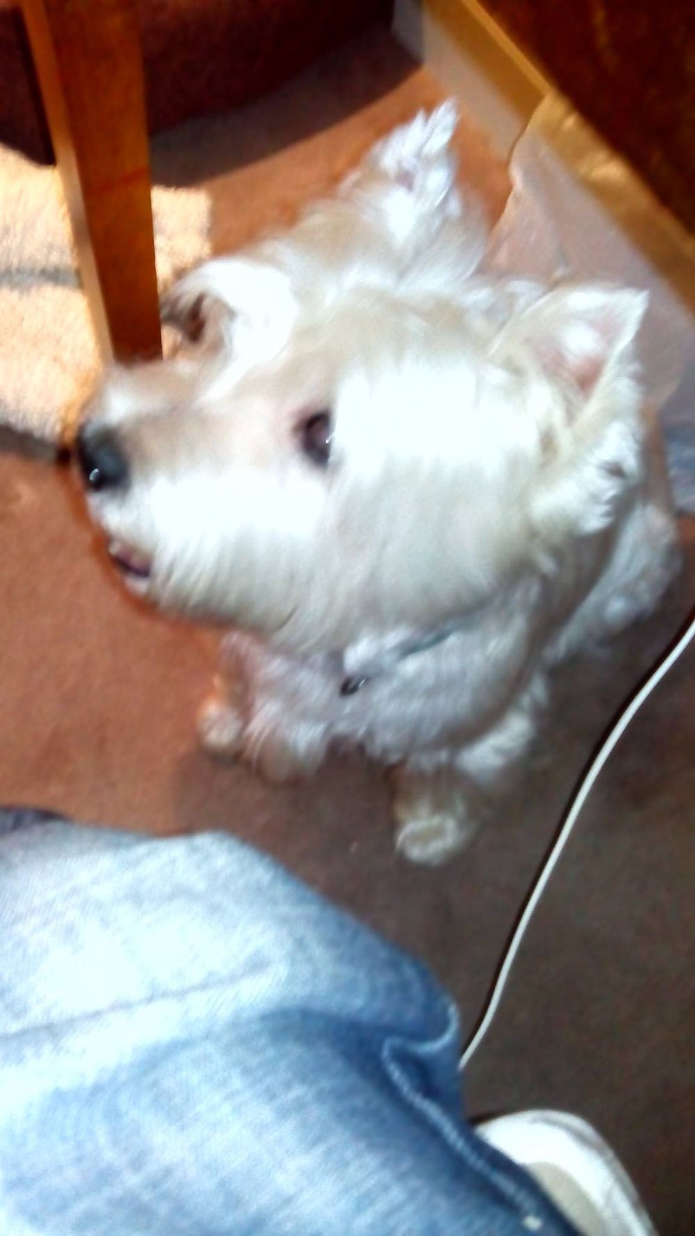 Luckky