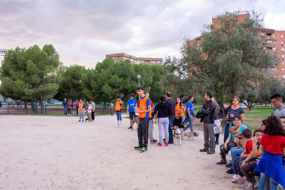 Formacion de perro policia 22-09-2019
